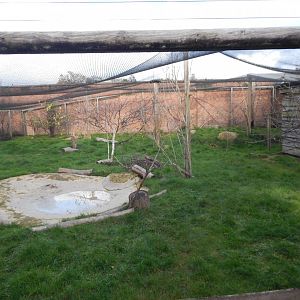 Walled Garden mixed aviary 051123