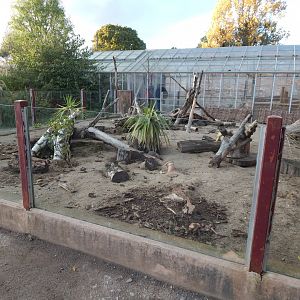 Walled Garden - Meerkat enclosure 051123