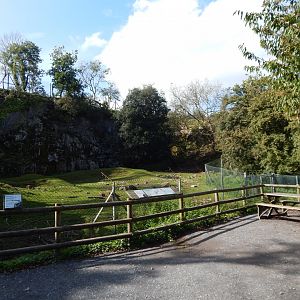 Mishmi takin enclosure 290923