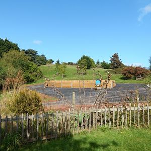 Work on the Hamadryas baboon enclosure exhibit 290923