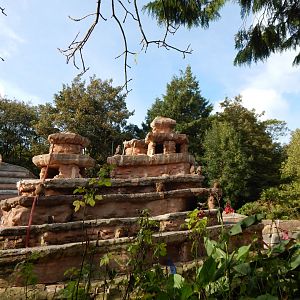 Hamadryas baboon enclosure 290923
