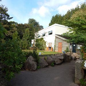 Aldabra giant tortoise enclosure 290923