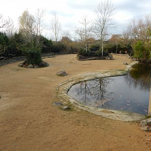 Islands - Javan banteng enclosure 241123