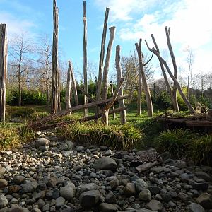Islands - Sun bear enclosure 241123