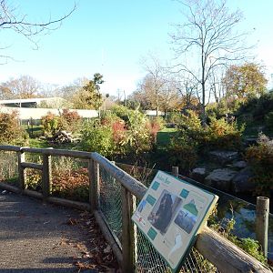 Spectacled bear enclosure 241123