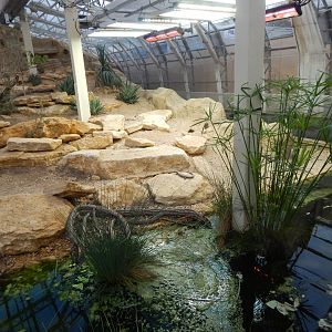 Thriving Through Nature 121223