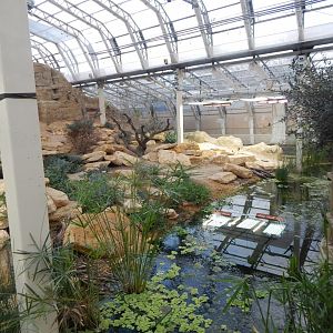 Thriving Through Nature 121223