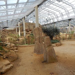 Thriving Through Nature 121223