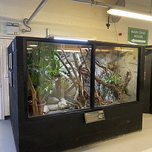 Green tree monitor exhibit 040124