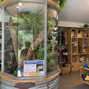 Veiled Chameleon Enclosure