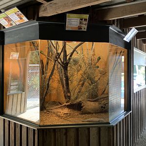 Frog and Lizard Exhibit