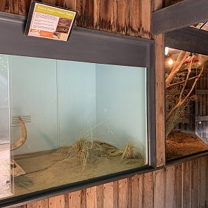 Inland Taipan Exhibit