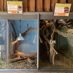 Reptile Exhibits