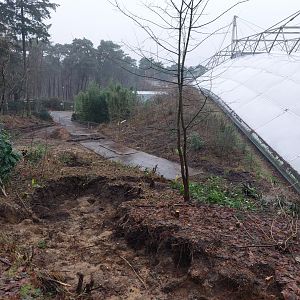 Construction work near Bush entrance