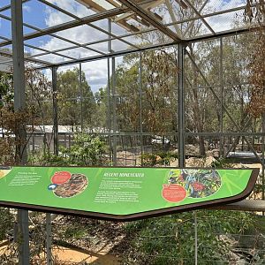 Wildlife Hospital aviary