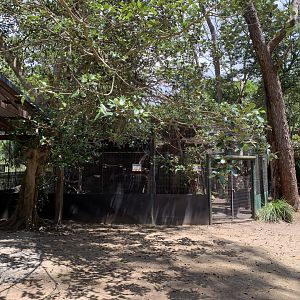 Parrot Aviary and Koala Enclosure