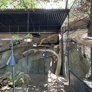 Parrot Aviary