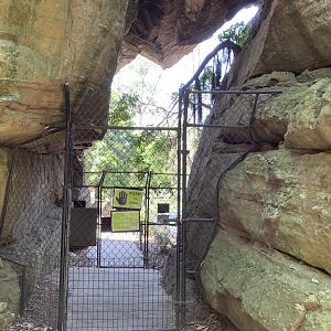 Walkthrough Entry/Exit