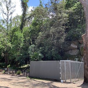 Alligator Snapping Turtle Enclosure