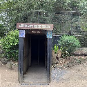 Wombat Exhibit Entrance