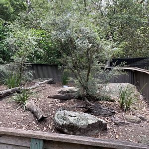 Leopard Tortoise Exhibit