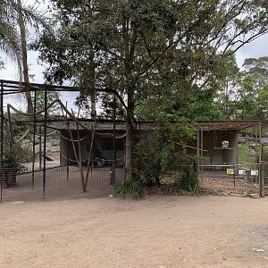 Koala Exhibit and Aviary
