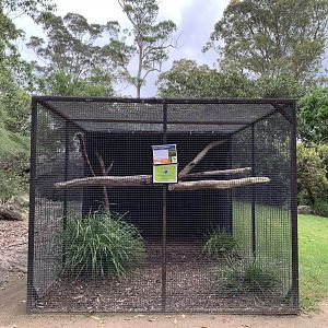 Blue-and-yellow Macaw Aviary