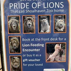 Lion Info Sign