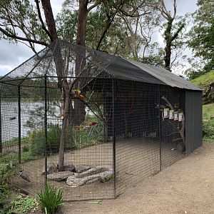 Lorikeet Aviary
