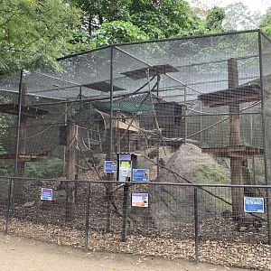 Black-capped Capuchin Enclosure