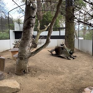 Meerkat Enclosure