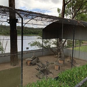 Meerkat Enclosure