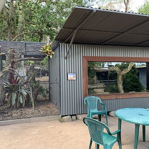 Reticulated Python Exhibit