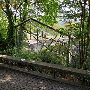 Menschenaffenhaus - Pileated gibbon enclosure