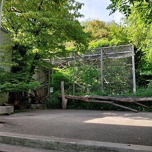 Menschenaffenhaus - Pileated gibbon enclosure