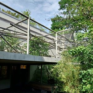 Menschenaffenhaus - Pileated gibbon enclosure