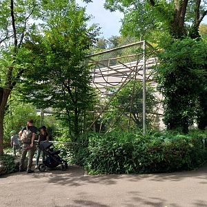 Menschenaffenhaus - Pileated gibbon enclosure