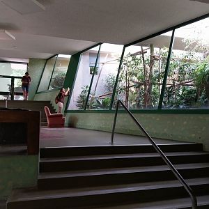 Menschenaffenhaus - Pileated gibbon enclosure