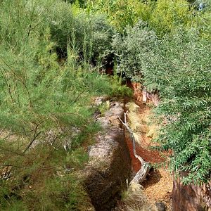 Australienhaus - Bell's Hinge-back tortoise enclosure