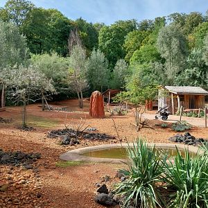 Australienhaus - Bush walkthrough