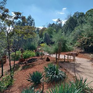 Australienhaus - Australian Bush walk-through