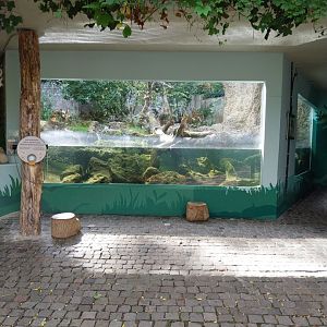 Eurasian otter enclosure