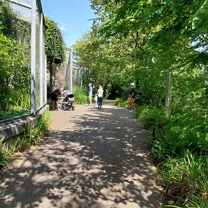 Exotarium - Aviaries towards the first floor