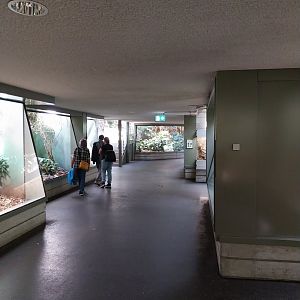 Exotarium - First floor - General view