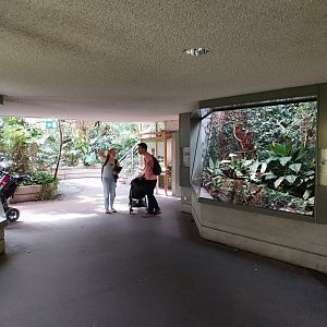 Exotarium - First floor - General view
