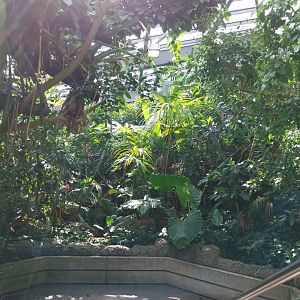 Exotarium - First floor - South American rainforest
