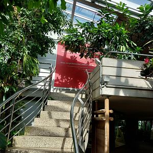 Exotarium - First floor - South American rainforest