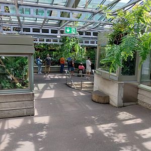 Exotarium - Top floor - Reptile section