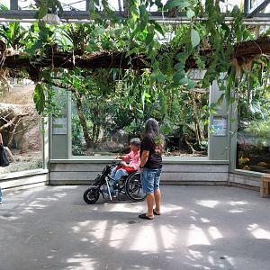 Exotarium - Top floor - Reptile section