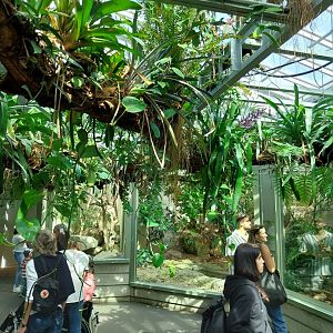 Exotarium - Top floor - Reptile section